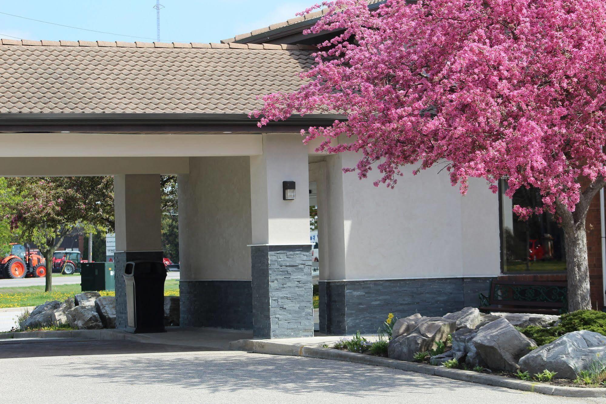 Comfort Inn Chatham-Kent Extérieur photo