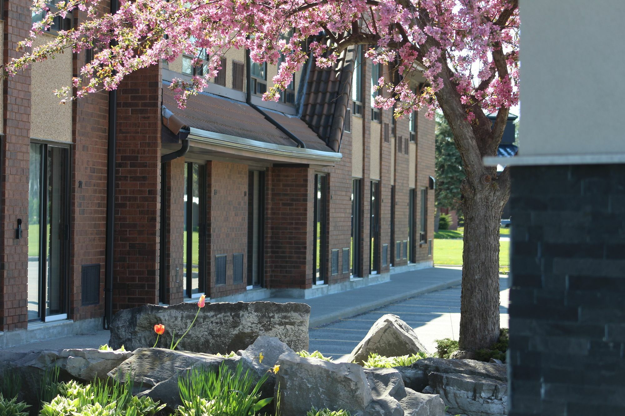 Comfort Inn Chatham-Kent Extérieur photo